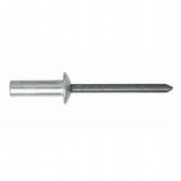 Stainless Steel-Stainless Steel Dome Head Sealed Rivets
